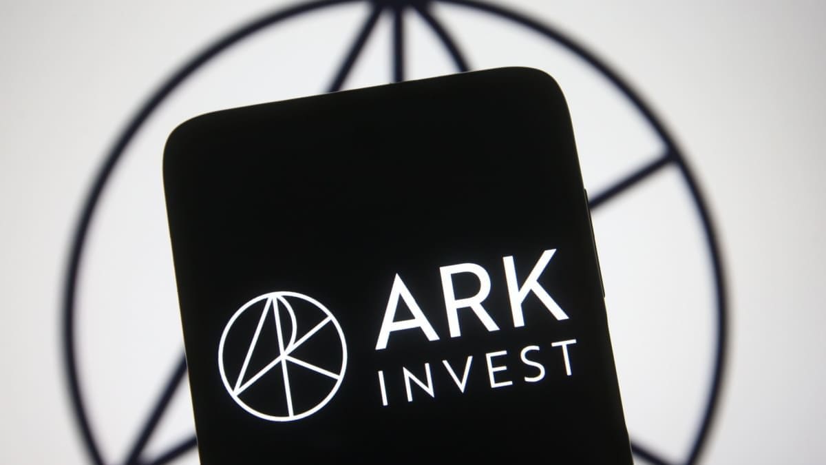 Ark Invest: „Größte Marktbereinigung aller Zeiten erschüttert den Kryptomarkt“