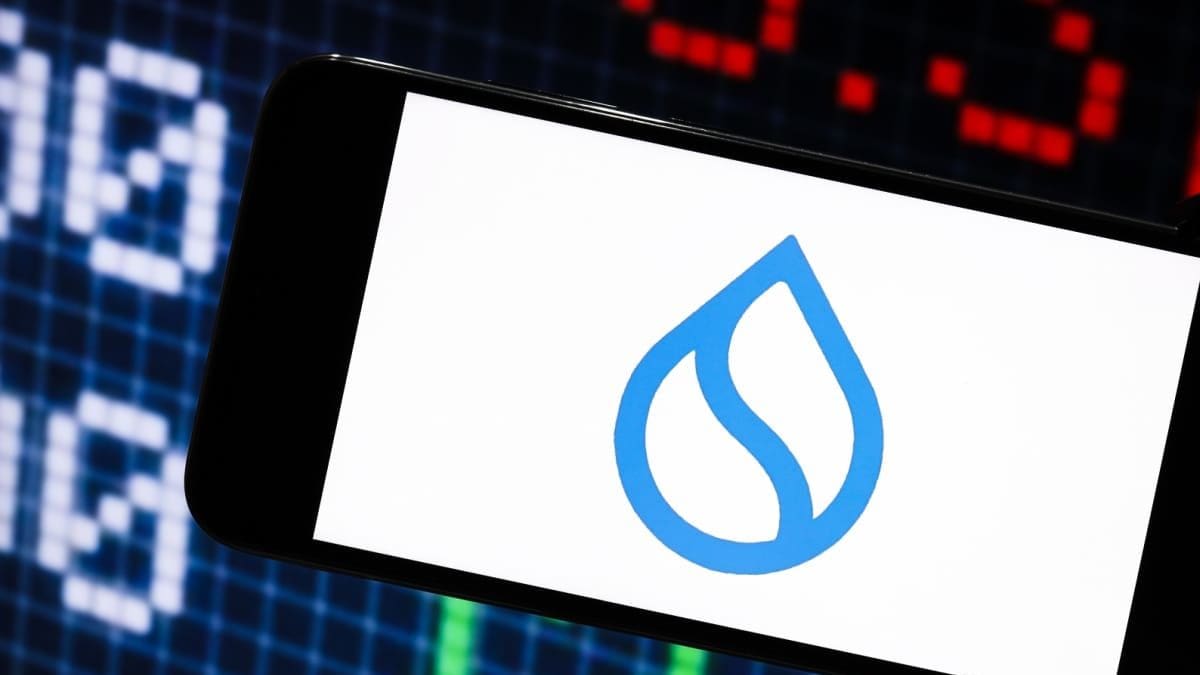 Krypto-Radar: Bitcoin steigt auf $94.000, Sui führt Altcoins mit +20% Krypto-Radar: Bitcoin steigt auf $94.000, Sui führt Altcoins mit +20%
