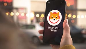 3 keer goed shiba nieuws 3 keer goed shiba nieuws