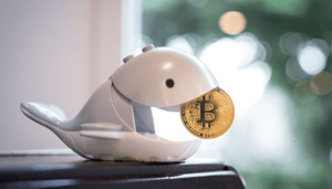 Twee bitcoin whales ontwaken na 10 jaar met miljoenenwinst Twee bitcoin whales ontwaken na 10 jaar met miljoenenwinst