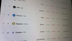 toncoin-stijgt-12-mei Crypto Radar: Toncoin al 50% in de plus, dit is waarom