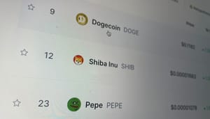 Waarom dalen PEPE, Floki en Dogwifhat harder dan bitcoin?