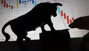 vastberadenheid crypto investeerders proef gesteld