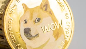 Analista: "Dogecoin muestra señales de una posible subida del 1000%" Analista: "Dogecoin muestra señales de una posible subida del 1000%"