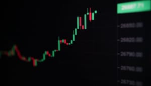 Slimme cryptohandelaar met megawinst heeft nieuwe munt in het vizier