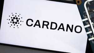 cardano price drops 20% Cryptomunt Cardano vangt hardste klap van de dag, maar waarom?