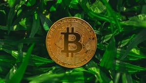 ESG MiCA Crypto Risk Metrics MiCA: Deutsche Krypto-Firmen nutzen ESG-Daten von Crypto Risk Metrics