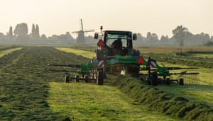 Cryptoboer verliest half miljoen euro: "Te mooi om waar te zijn"