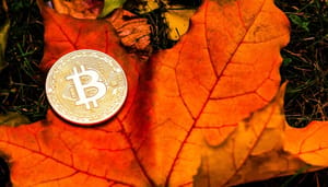 Fällt Bitcoin im Oktober? Das sagen Charts und Analysten