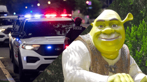 'Shrek' entpuppt sich als Drahtzieher im Kryptobetrug