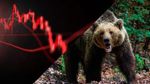 Bitcoin bear Ist der Bitcoin-Bärenmarkt da? Alarm, aber auch Hoffnung