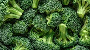 Een afbeelding van brocolli Een afbeelding van brocolli