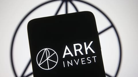 Ark Invest: „Größte Marktbereinigung aller Zeiten erschüttert den Kryptomarkt“
