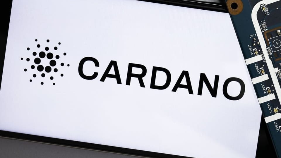 Die Kryptowährung Cardano wird am stärksten getroffen, aber warum?