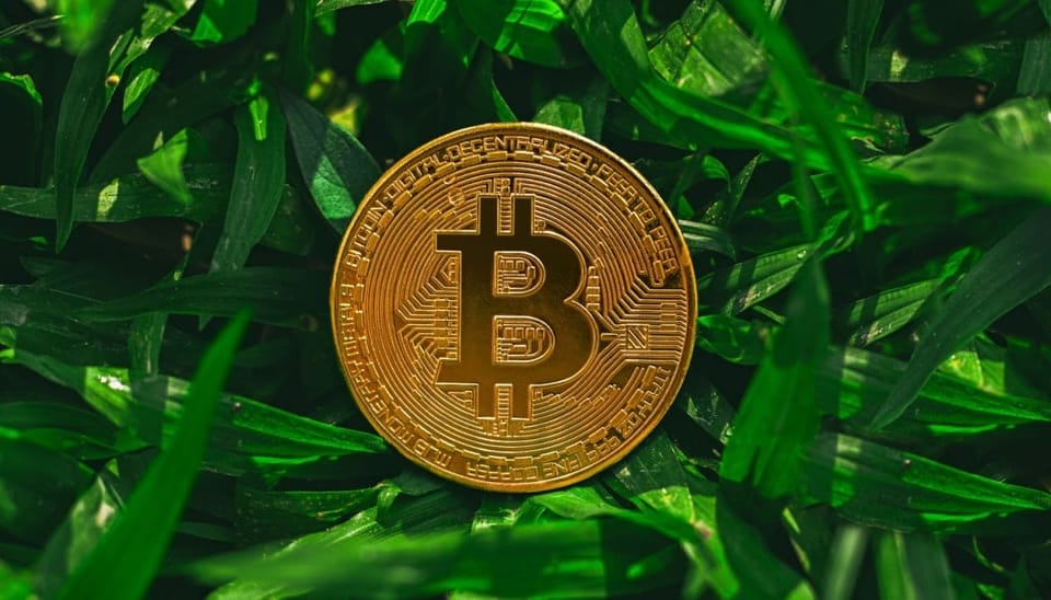 MiCA: Deutsche Krypto-Firmen nutzen ESG-Daten von Crypto Risk Metrics
