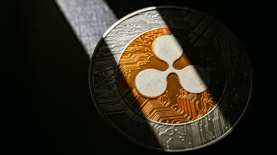 Kann man mit 10.000 XRP zum Millionär werden? Hier wird es schwierig