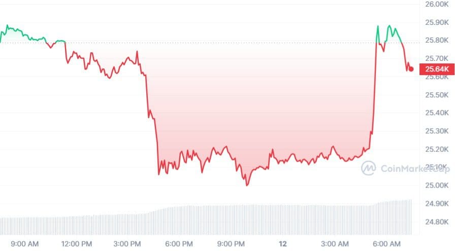 Bitcoin spoelt daling weg, indicator slaat alarm