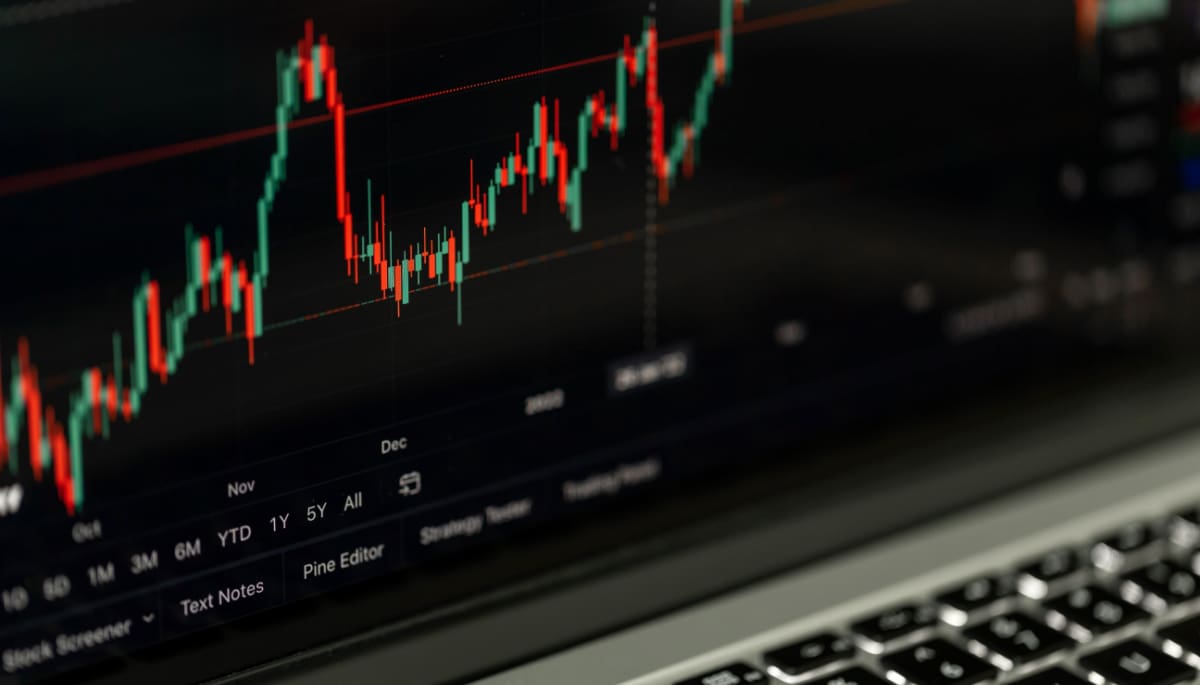 Positieve bitcoin-statistiek schiet omhoog naar 100%; kans op stijging Positieve bitcoin-statistiek schiet omhoog naar 100%; kans op stijging
