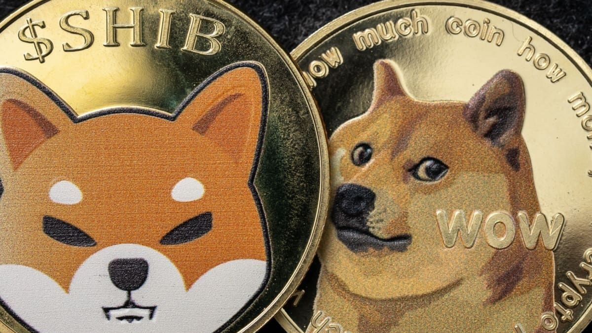 Wie geht es weiter mit Shiba Inu und Dogecoin? Wie geht es weiter mit Shiba Inu und Dogecoin?