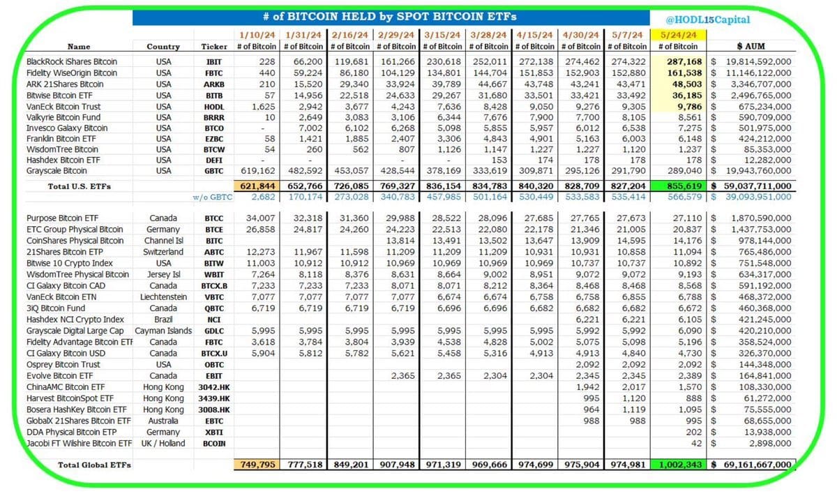 bitcoin etf hodl