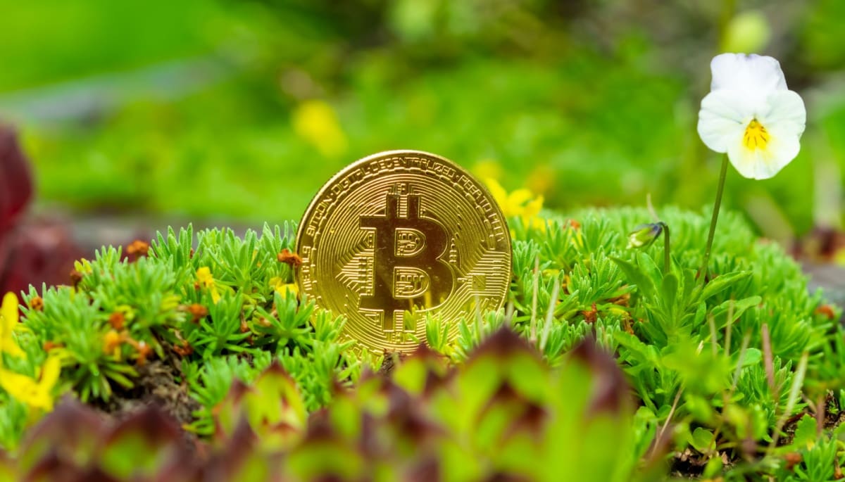 bitcoin-venture-capitalists Crypto-industrie ziet stuk meer investeringen van durfkapitalisten