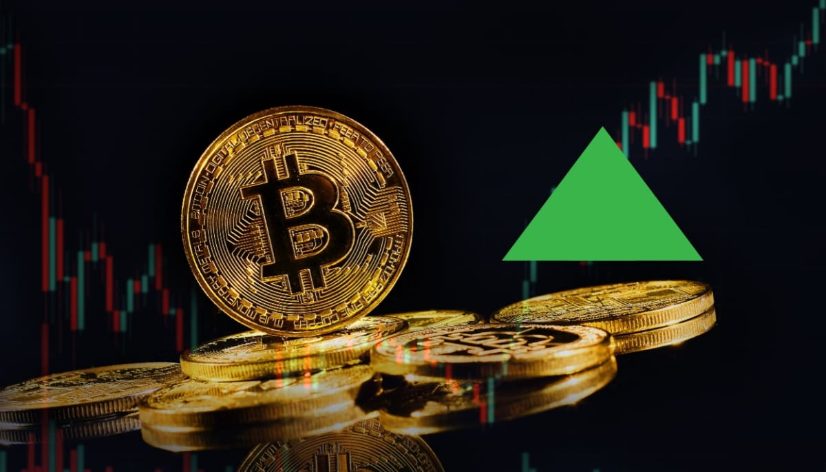 german-government-buys-back-bitcoin Duitsland koopt $111 miljoen aan bitcoin terug van cryptobeurzen