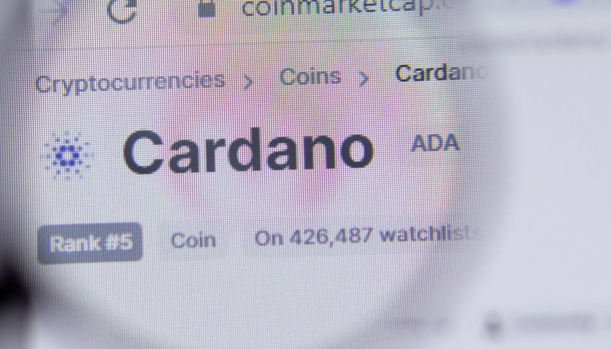 cardano-oprichter-ada-ethereum Cardano-oprichter haalt fel uit, 'Ethereum is een dictatuur'