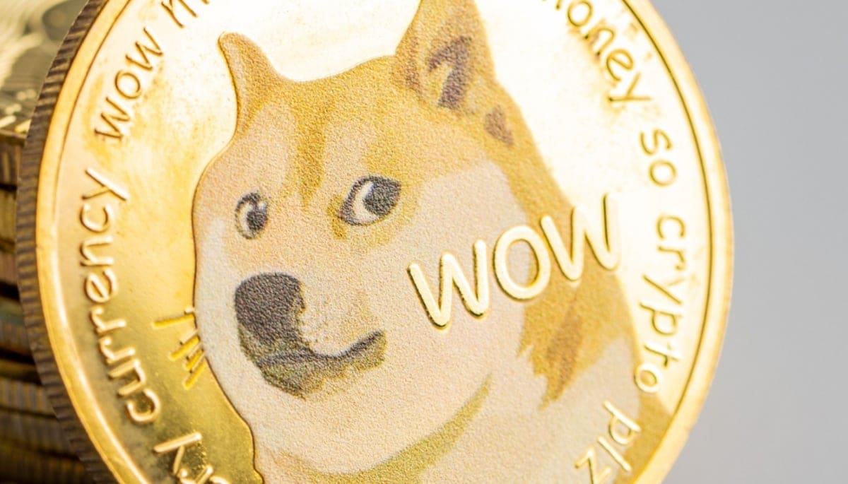 Analista: "Dogecoin muestra señales de una posible subida del 1000%" Analista: "Dogecoin muestra señales de una posible subida del 1000%"