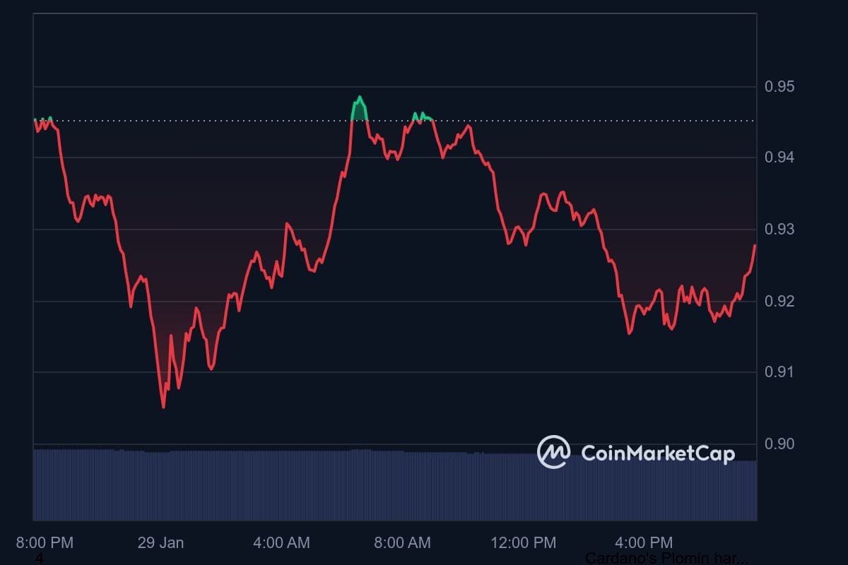 Der Cardano-Kurs der letzten 24 Stunden. Quelle: CoinMarketCap.