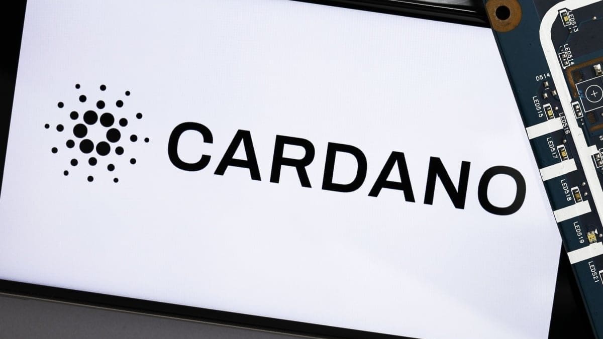 cardano price drops 20% Die Kryptowährung Cardano wird am stärksten getroffen, aber warum?