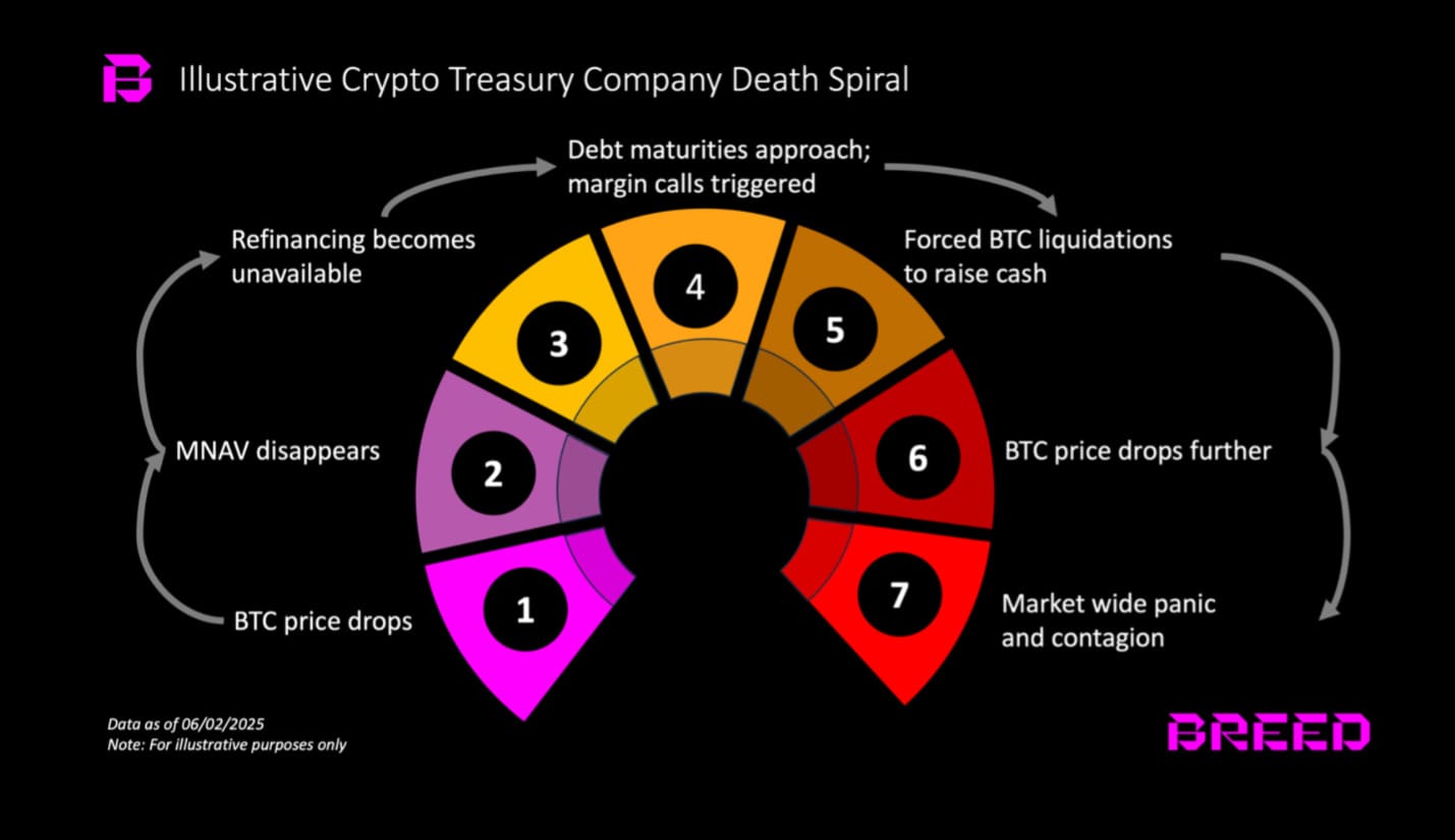 Die sieben Phasen des Wertverlusts durch eine Bitcoin-Strategie. Quelle: Breed.