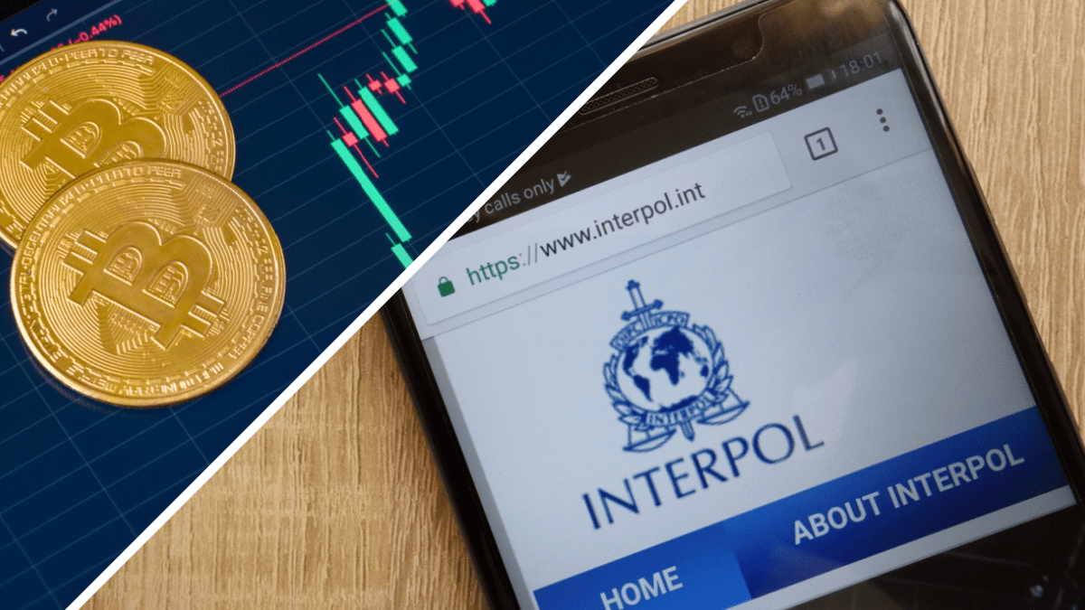 split-image (12) Europol hebt kriminelles Netzwerk aus – 250.000 Euro Krypto beschlagnahmt