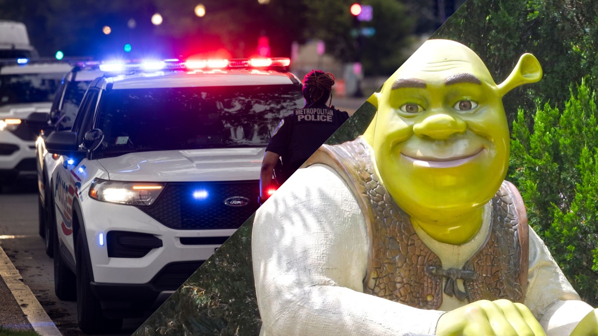 'Shrek' entpuppt sich als Drahtzieher im Kryptobetrug