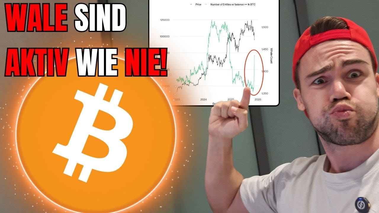 Starke Wal-Käufe, schwacher Kurs: Was Bitcoin jetzt bremst Starke Wal-Käufe, schwacher Kurs: Was Bitcoin jetzt bremst